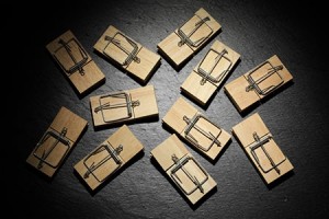 How to get rid of mice